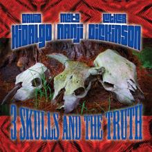 David Hidalgo, Mato Nanji, and Luther Dickinson 3 Skulls And The Truth